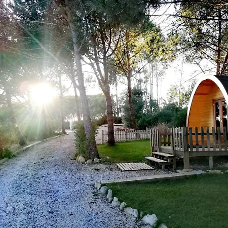 Glamping Guest house *
