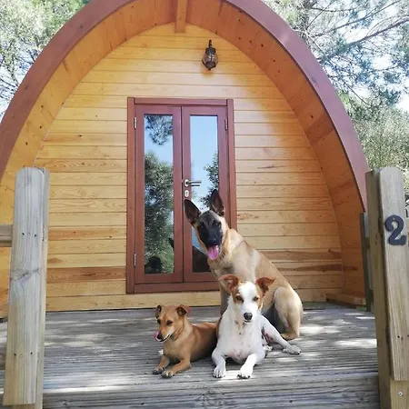 Glamping 招待所 3*