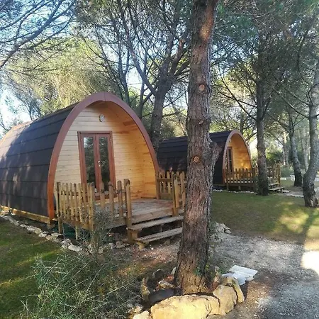 Glamping 辛特拉