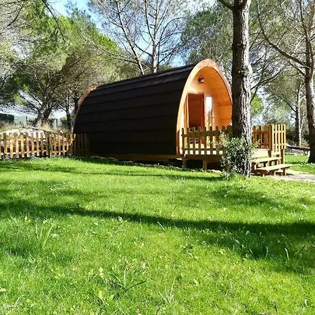 Guest house Glamping