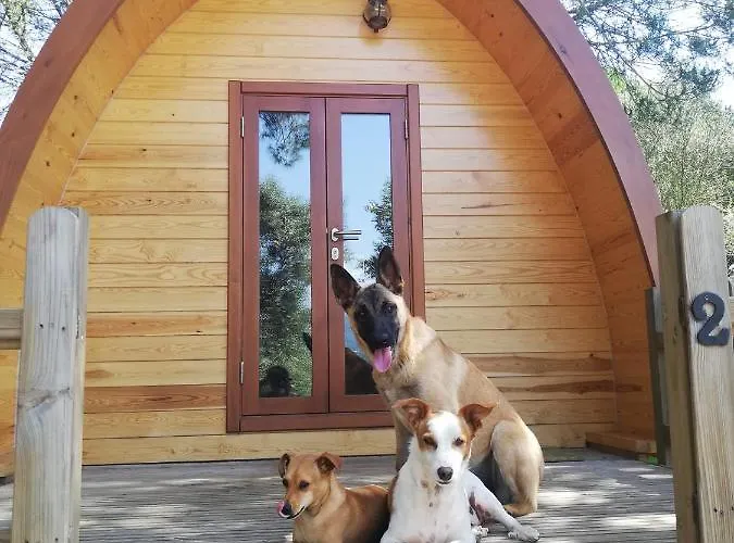 Glamping Pensjonat 3*